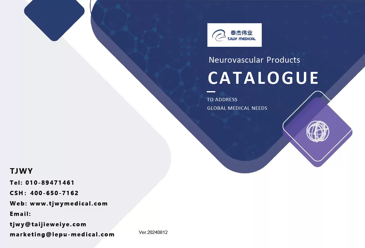 Lepu Medical - Neurovascular Products